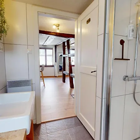Apartment Au Petit Vauban 2 & Parking