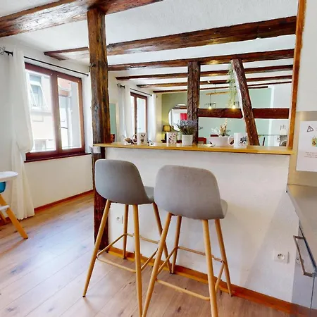 Apartamento Au Petit Vauban 2 & Parking Colmar
