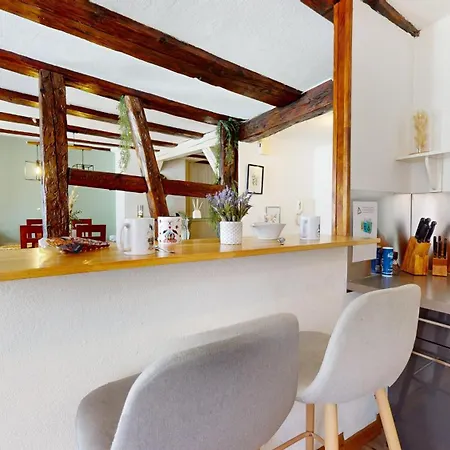 Apartment Au Petit Vauban 2 & Parking *