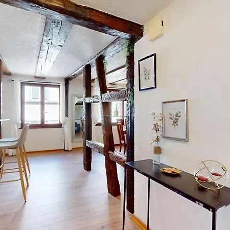 Au Petit Vauban 2 & Parking Apartment Colmar